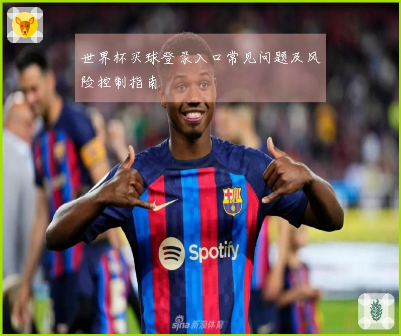 世界杯买球登录入口常见问题及风险控制指南