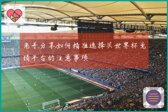老手分享如何精准选择买世界杯竞猜平台的注意事项