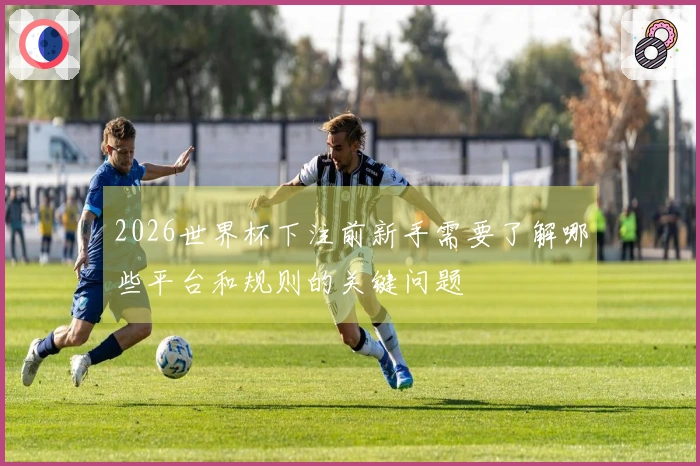 2026世界杯下注前新手需要了解哪些平台和规则的关键问题