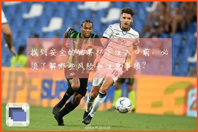 找到安全的世界杯下注入口前，必须了解哪些风险和注意事项？