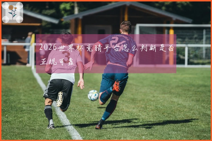 2026世界杯竞猜平台怎么判断是否正规可靠