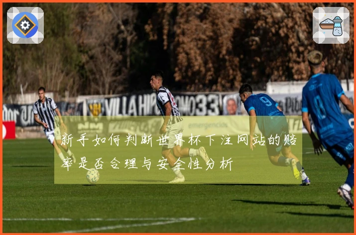 新手如何判断世界杯下注网站的赔率是否合理与安全性分析
