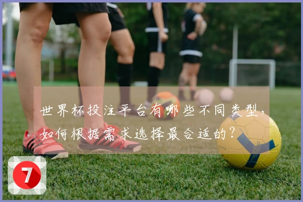 世界杯投注平台有哪些不同类型，如何根据需求选择最合适的？
