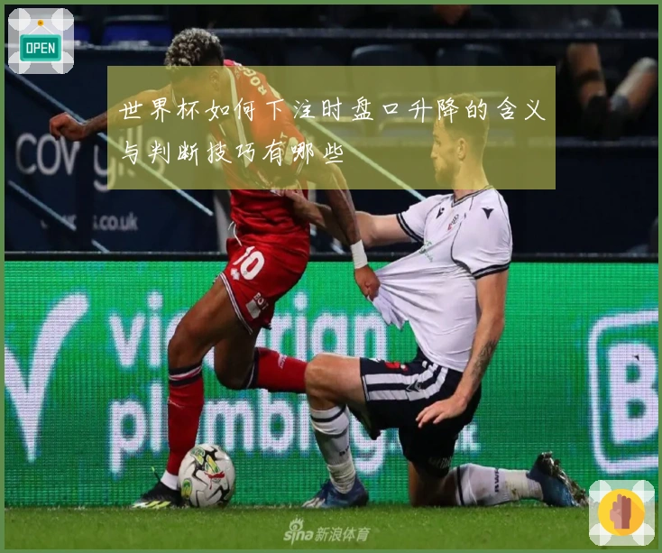 世界杯如何下注时盘口升降的含义与判断技巧有哪些