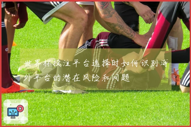 世界杯投注平台选择时如何识别海外平台的潜在风险和问题