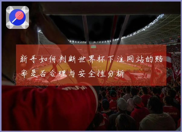 新手如何判断世界杯下注网站的赔率是否合理与安全性分析