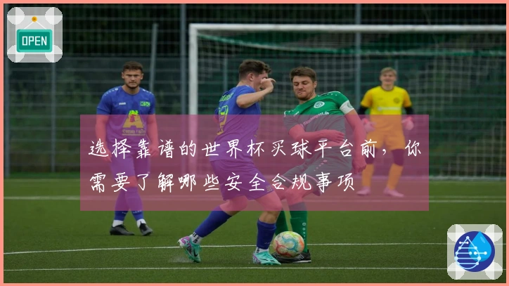 选择靠谱的世界杯买球平台前，你需要了解哪些安全合规事项