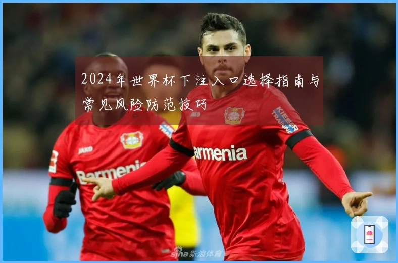 2024年世界杯下注入口选择指南与常见风险防范技巧
