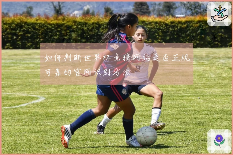 如何判断世界杯竞猜网站是否正规可靠的官网识别方法