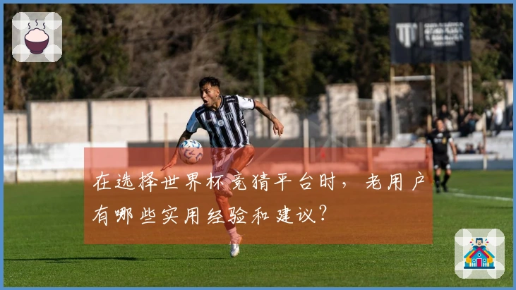 在选择世界杯竞猜平台时，老用户有哪些实用经验和建议？