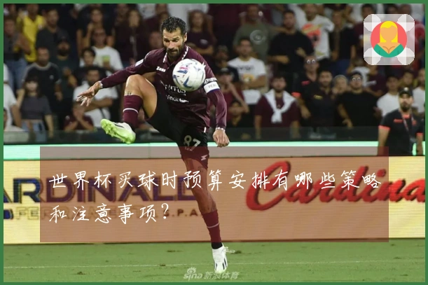 世界杯买球时预算安排有哪些策略和注意事项？