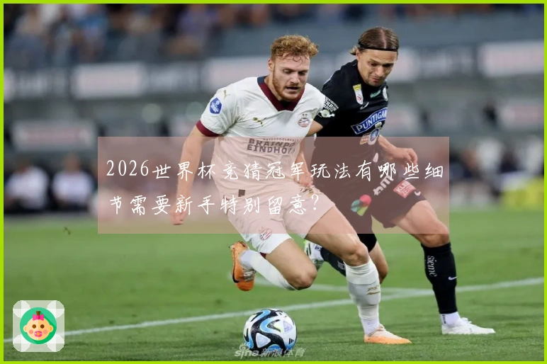 2026世界杯竞猜冠军玩法有哪些细节需要新手特别留意？