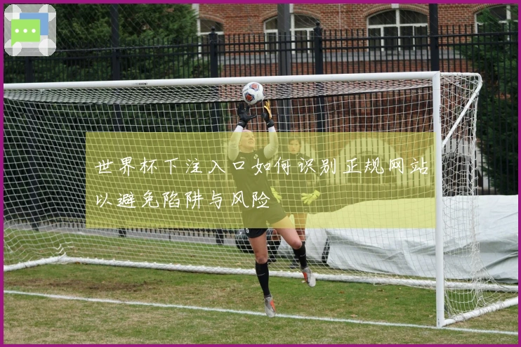 世界杯下注入口如何识别正规网站以避免陷阱与风险