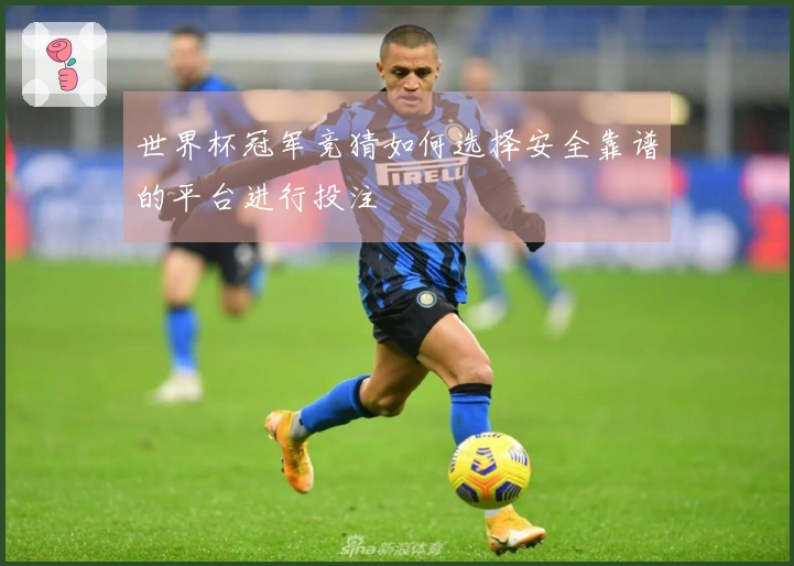 世界杯冠军竞猜如何选择安全靠谱的平台进行投注