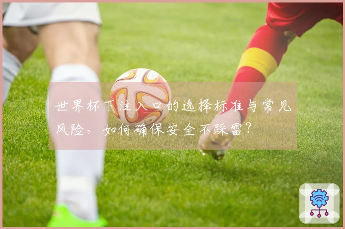 世界杯下注入口的选择标准与常见风险，如何确保安全不踩雷？