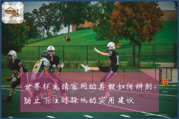 世界杯竞猜官网的真假如何辨别，防止下注时踩坑的实用建议