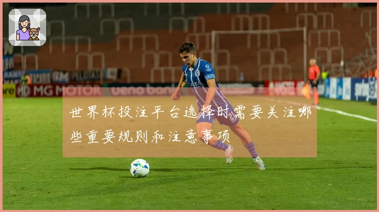 世界杯投注平台选择时需要关注哪些重要规则和注意事项