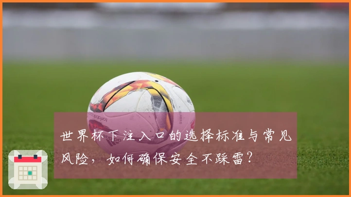 世界杯下注入口的选择标准与常见风险，如何确保安全不踩雷？