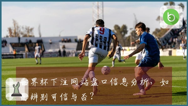 世界杯下注网站盘口信息分析，如何辨别可信与否？