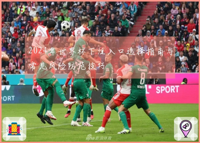 2024年世界杯下注入口选择指南与常见风险防范技巧