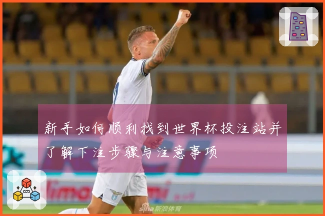 新手如何顺利找到世界杯投注站并了解下注步骤与注意事项