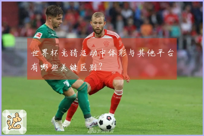 世界杯竞猜活动中体彩与其他平台有哪些关键区别？
