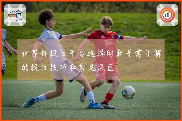 世界杯投注平台选择时新手需了解的投注技巧和常见误区