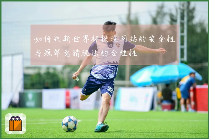 如何判断世界杯投注网站的安全性与冠军竞猜玩法的合理性