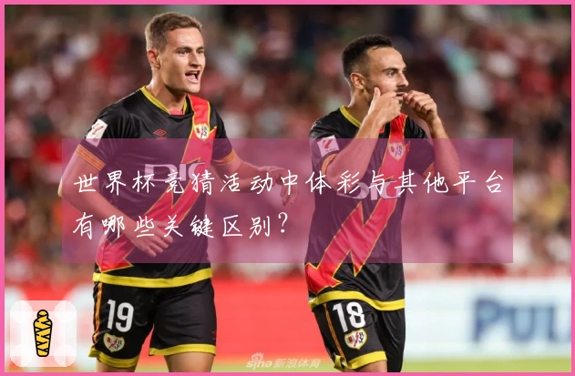 世界杯竞猜活动中体彩与其他平台有哪些关键区别？