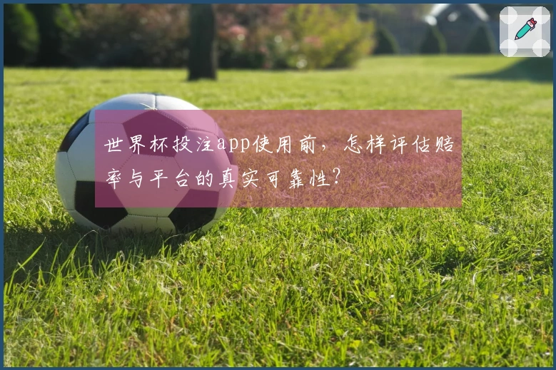 世界杯投注app使用前，怎样评估赔率与平台的真实可靠性？