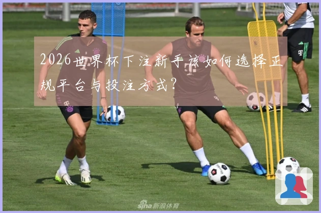 2026世界杯下注新手该如何选择正规平台与投注方式？