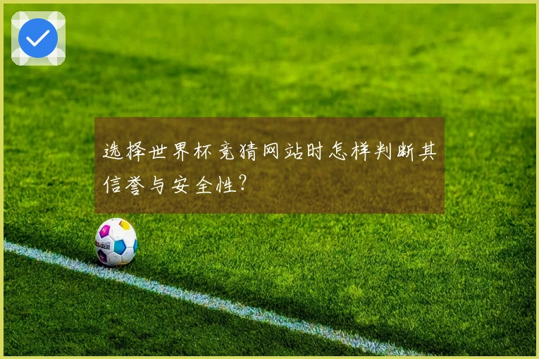 选择世界杯竞猜网站时怎样判断其信誉与安全性？