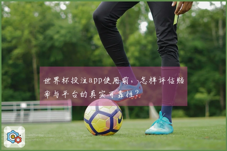 世界杯投注app使用前，怎样评估赔率与平台的真实可靠性？